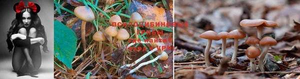 мефедрон Баксан