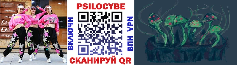 купить наркотики цена  Городец  Псилоцибиновые грибы Psilocybine cubensis 