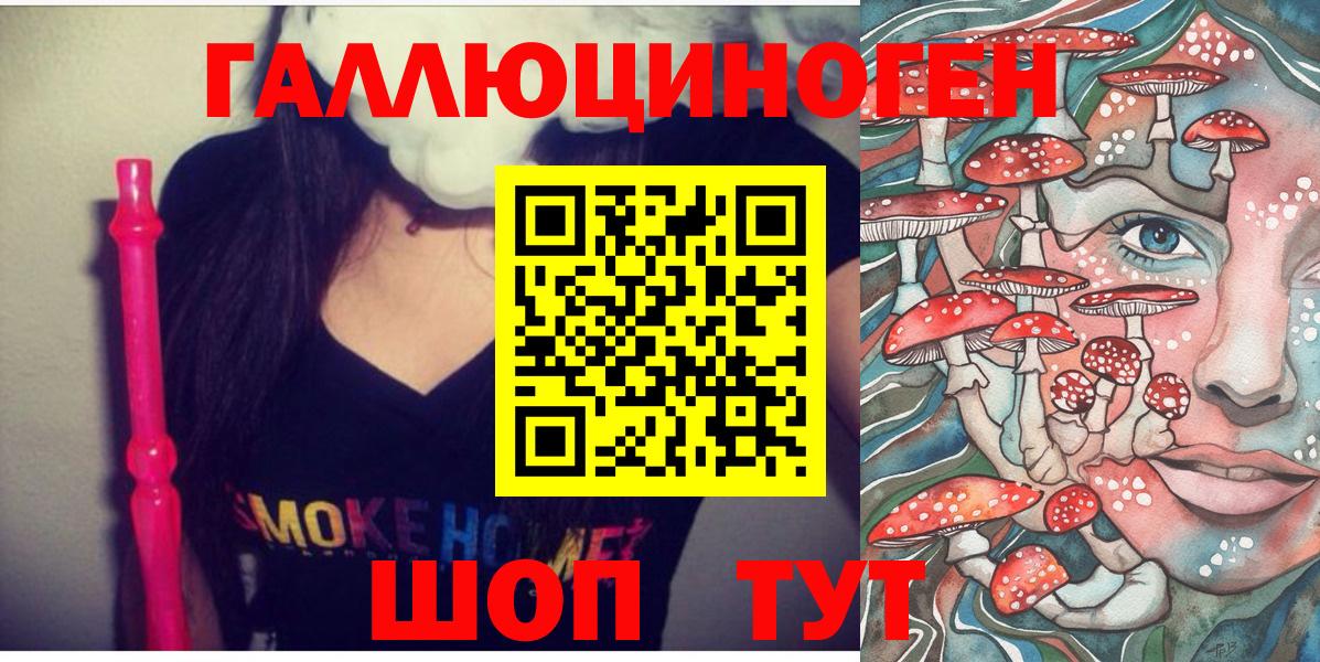 Псилоцибиновые грибы Psilocybe Городец