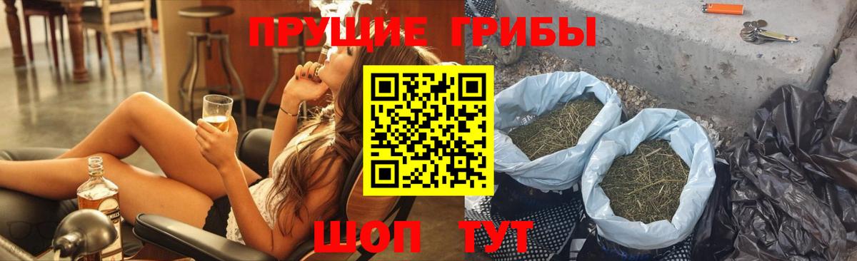Галлюциногенные грибы Psilocybe Городец
